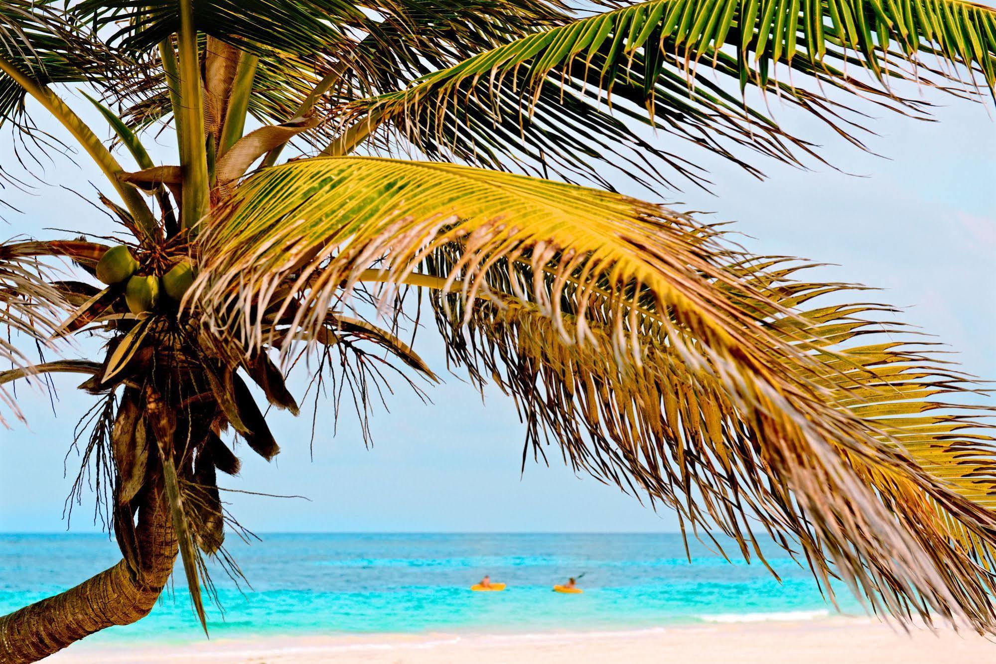 Casa Chable Hotel Punta Allen Kültér fotó